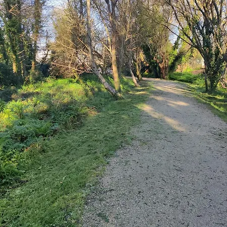 Rio Gallo *