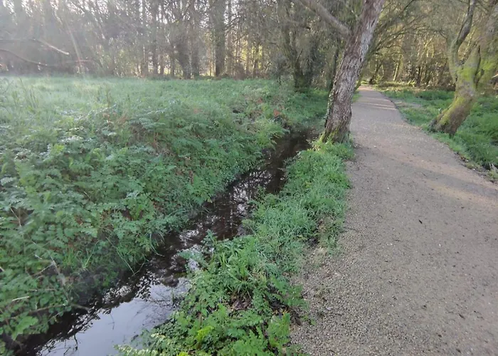 Lägenhet Rio Gallo Cuntis